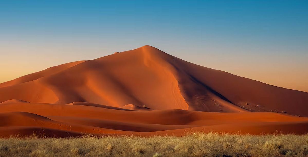 مصور سعودي يوثق انتقام قط رملي