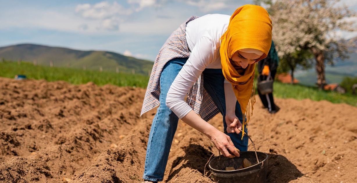 الدعم من برنامج ريف