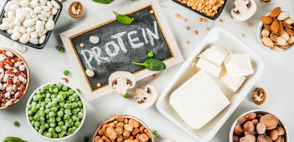 مصادر البروتين النباتي