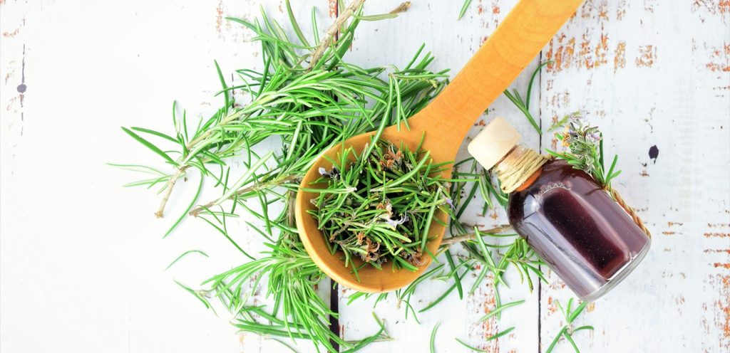 يحتوي اكليل الجبل على مواد غذائية تعزز صحة فروة الرأس وتحافظ على قوة الشعر