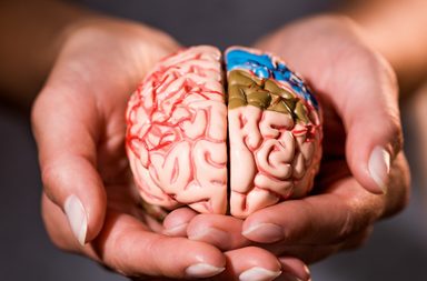دراسة تكشف مفاجأة عن الدماغ والنسيان!