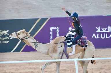 لقاء خاص مع الهجانة ريما الحربي في بطولة كأس العلا للهجن 2024