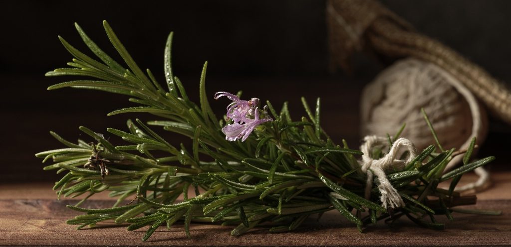 طريقة استعمال اكليل الجبل للشعر