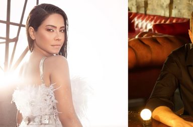 فيديو شيرين عبد الوهاب ينشره حسام حبيب
