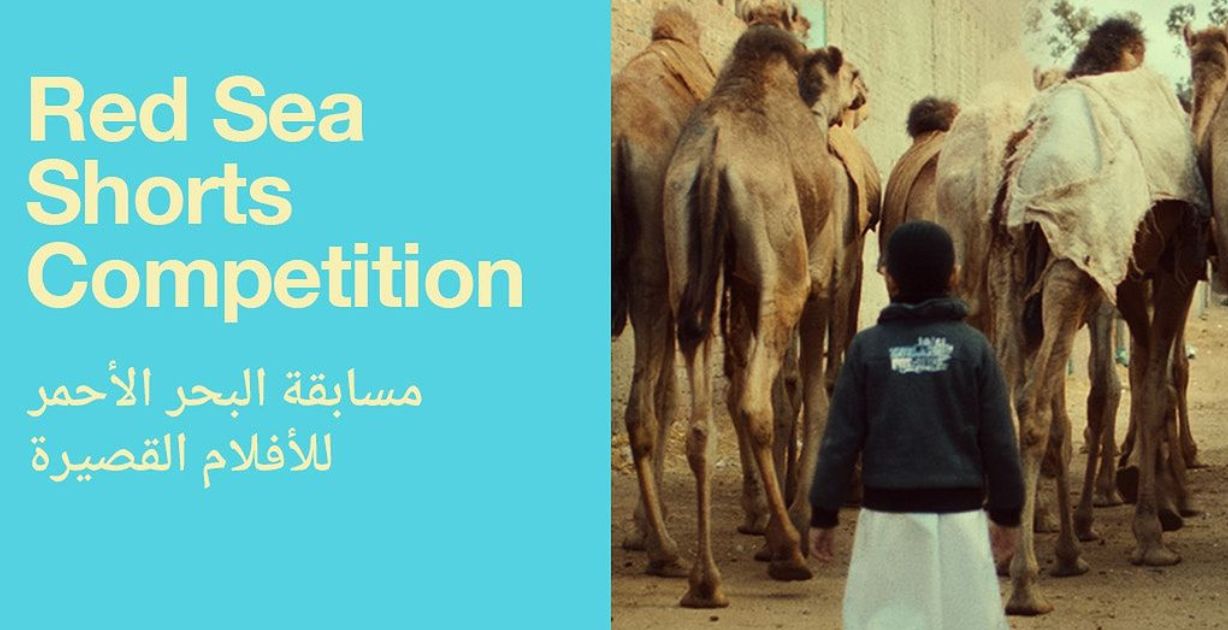 مهرجان البحر الأحمر السينمائي يعلن عن قائمة الأفلام العربية القصيرة لدورته الرابعة