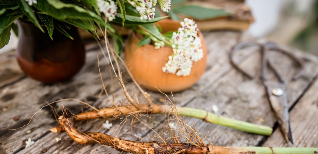 خلطه الرومي هل توضع على الشعر؟ إليكِ الجواب الحقيقي