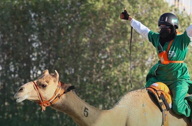 الهجانة السعودية خلود الشمري تنتزع الميدالية الذهبية في البطولة الآسيوية للهجن