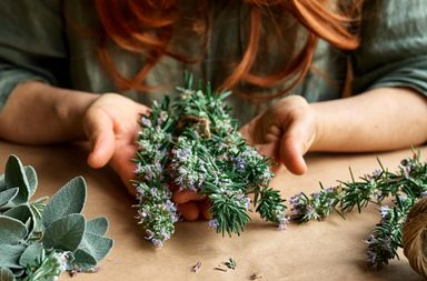 فوائد البردقوش للدورة الشهرية: أقوى خلطة لتنشيط المبايض