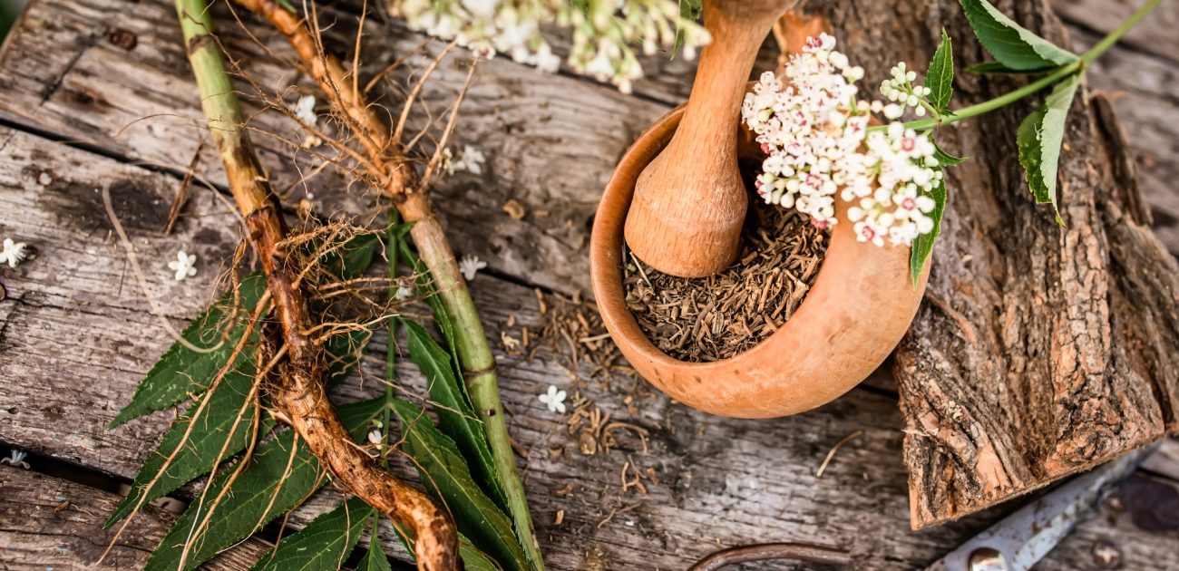 فوائد البردقوش للدورة الشهرية: أقوى خلطة لتنشيط المبايض 