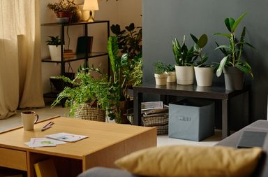 قواعد ونصائح مهمة لتصميم و تنفيذ ديكور داخلي في المنزل