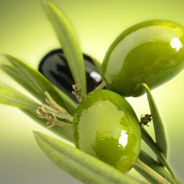 olive-13-7-2010