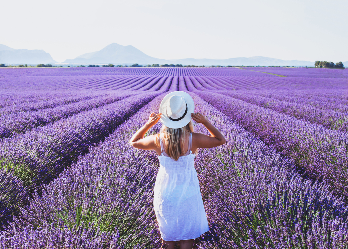 Plant, Lavender, Person