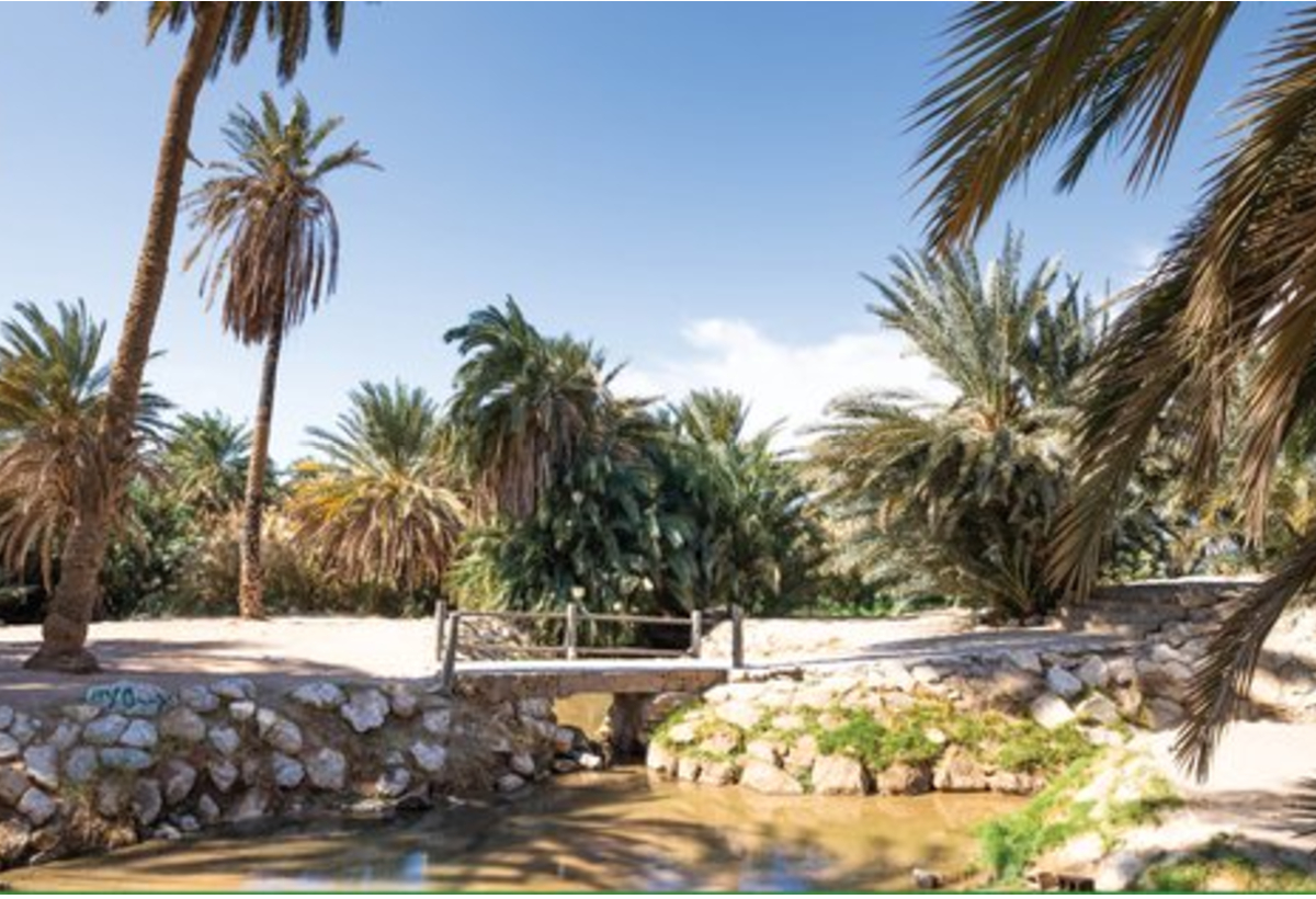 مدينة مقنا السعودية تأسر عشاق الطبيعة والمغامرة 