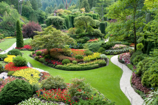 Grass, Plant, Park