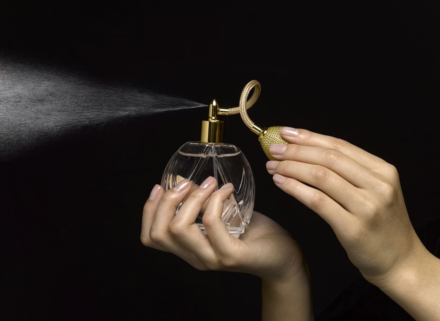 خصائص عطور زهور الريف الزيتيه