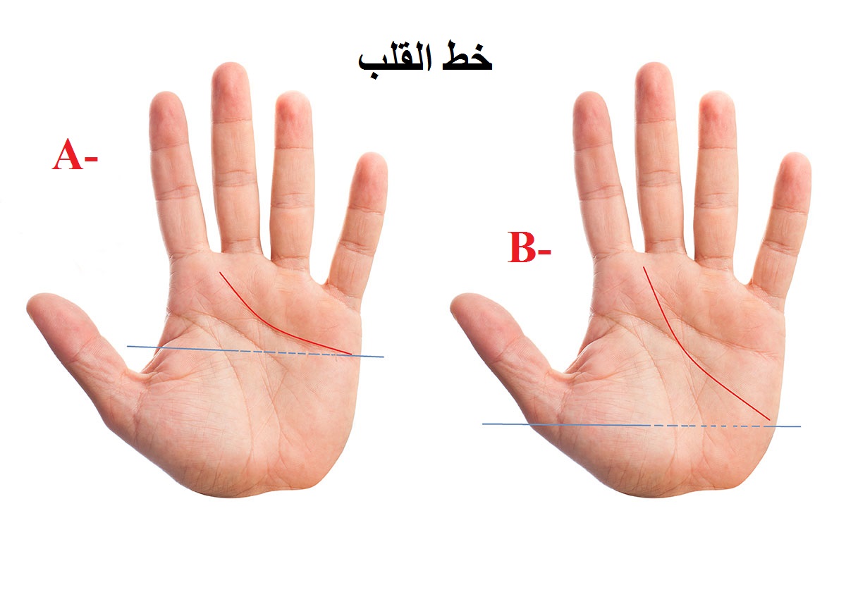 ما الذي يكشفه خط القلب في الكف عن علاقتك العاطفية؟
