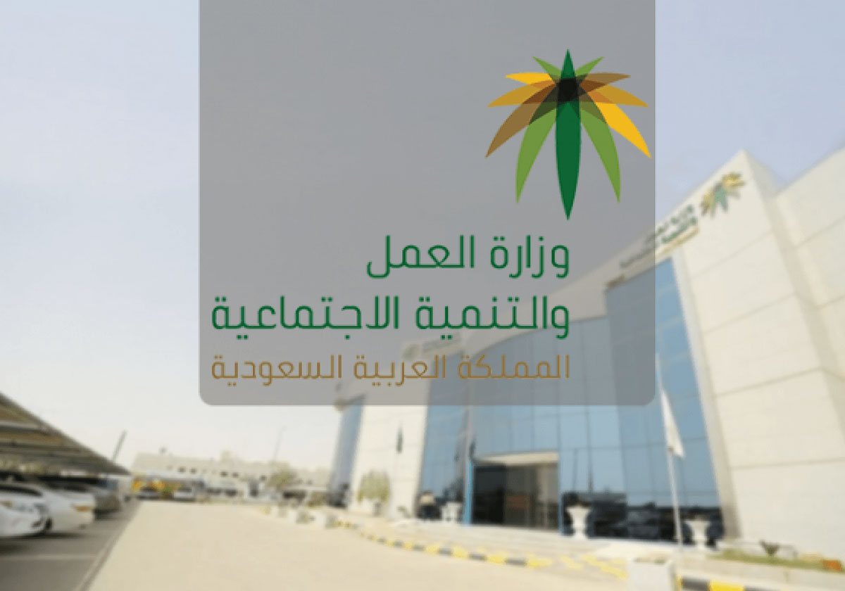 كيف اعرف متى تنزل المقطوعه؟