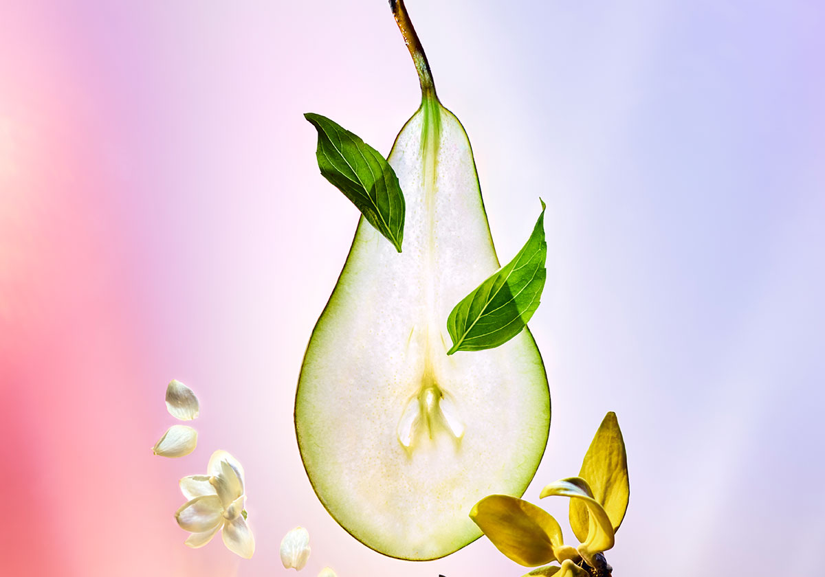 ثمرة الكمثري أساس العطور