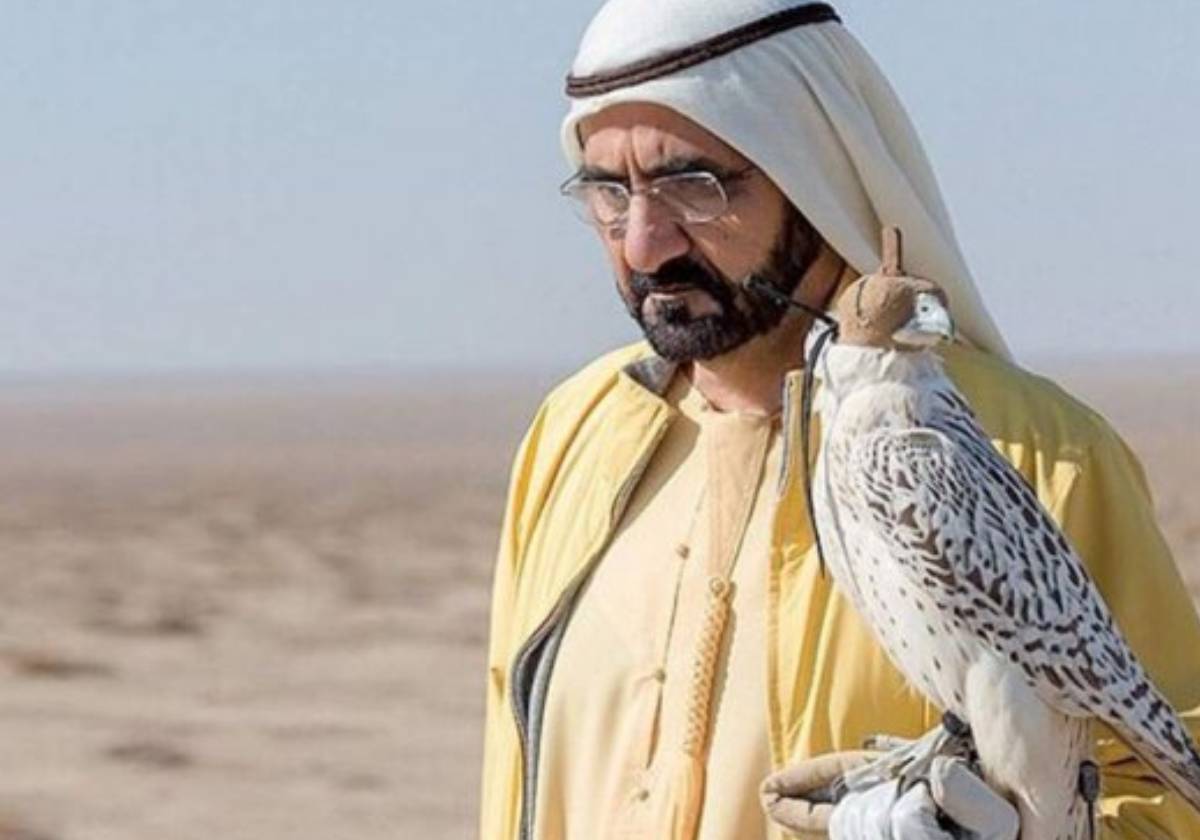 وثائقي قصتي عن الشيخ محمد بن راشد آل مكتوم