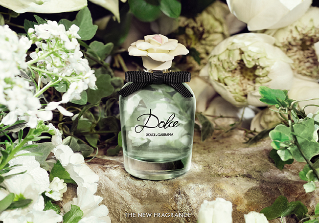 عطر Dolce & Gabbana الجديد