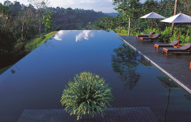 حدائق Ubud المعلٌّقة في بالي