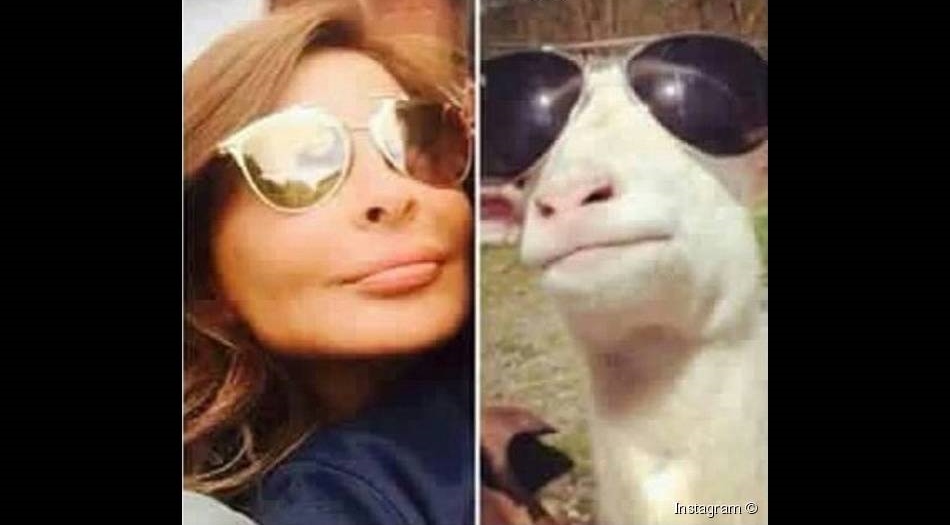 صورة اليسا