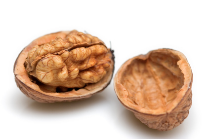 قشور الجوز