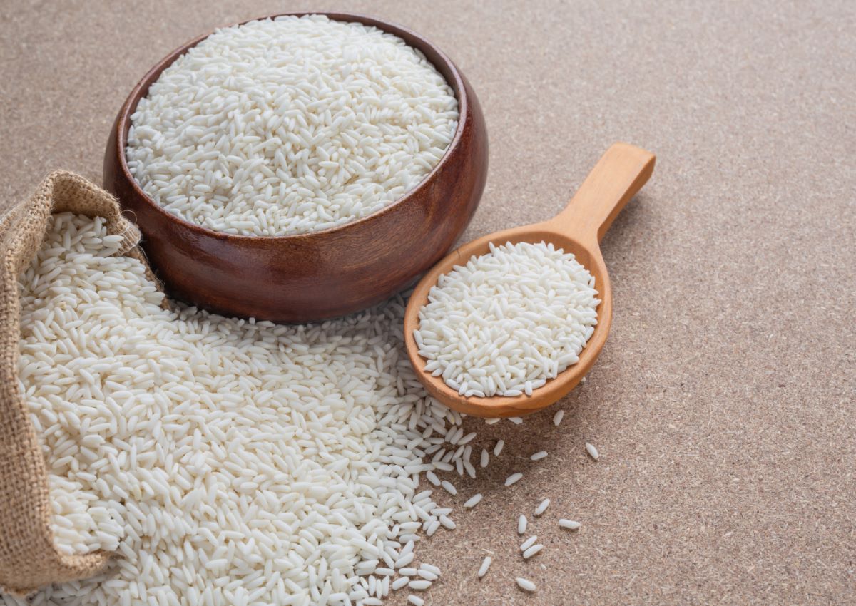 طريقة اختيار افضل نوع رز
