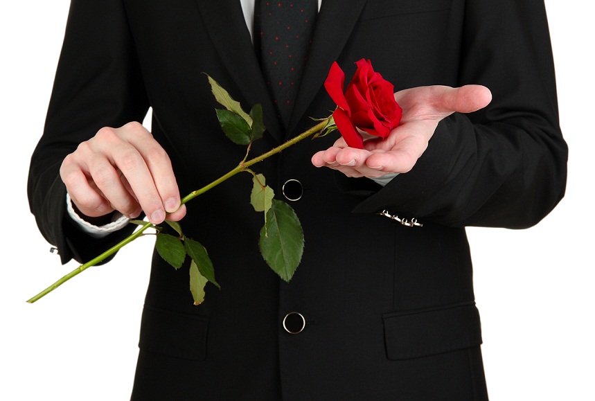 Rose, Plant, Flower