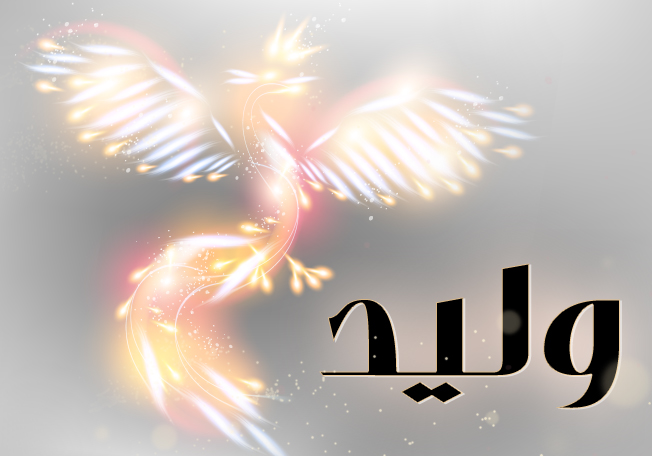 معاني وصفات اسم وليد