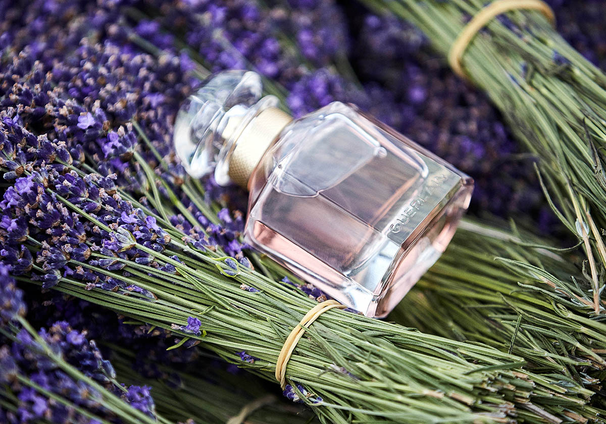 عطر مون غيرلان