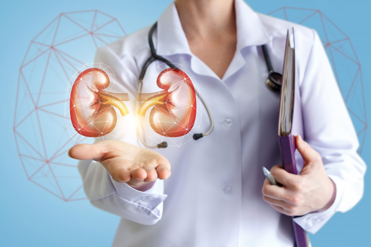 طريقة علاج امراض الكلى