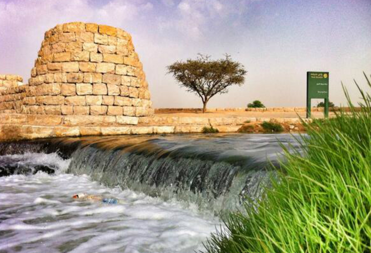 نشاطات يمارسها أفراد العائلة في وادي حنيفة 