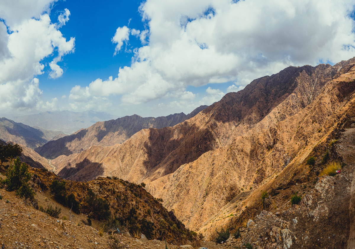 السودة