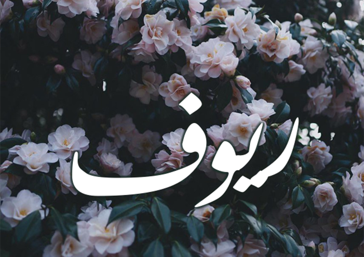 تحليل شخصية اسم ريوف 