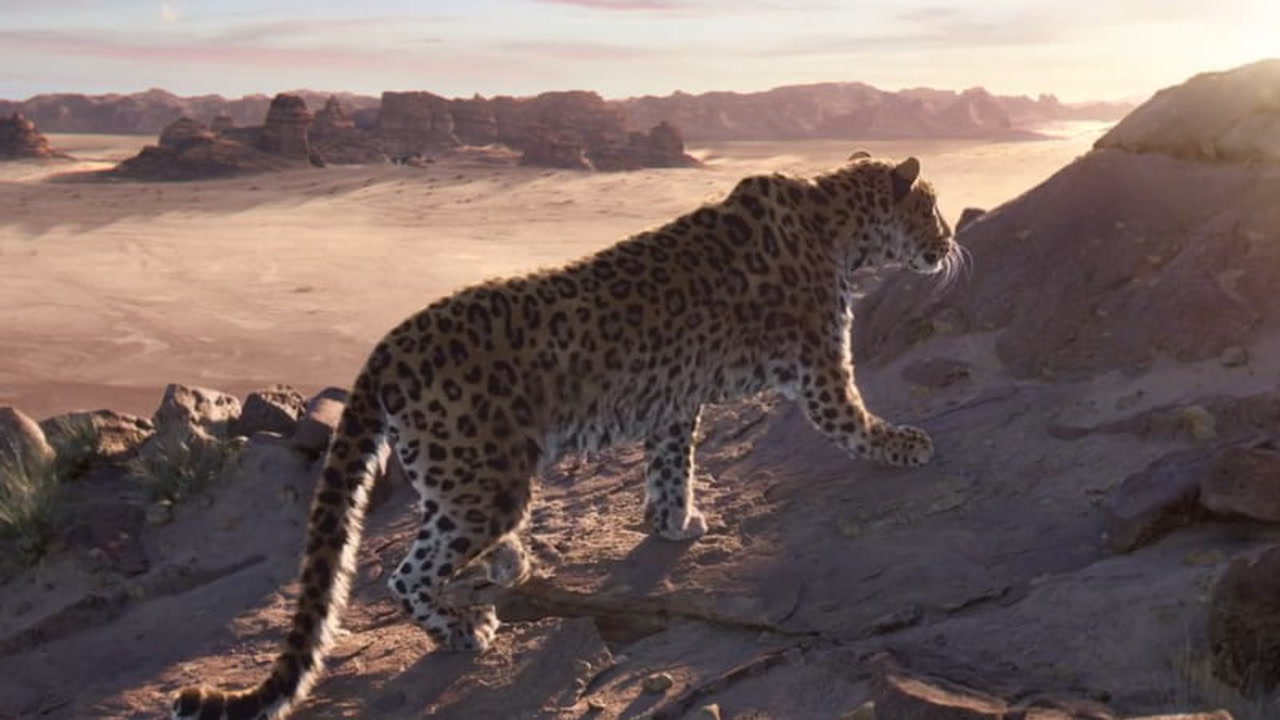 Panther, Jaguar, Leopard