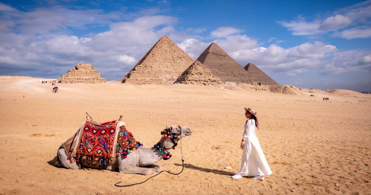 شروط السفر الى مصر