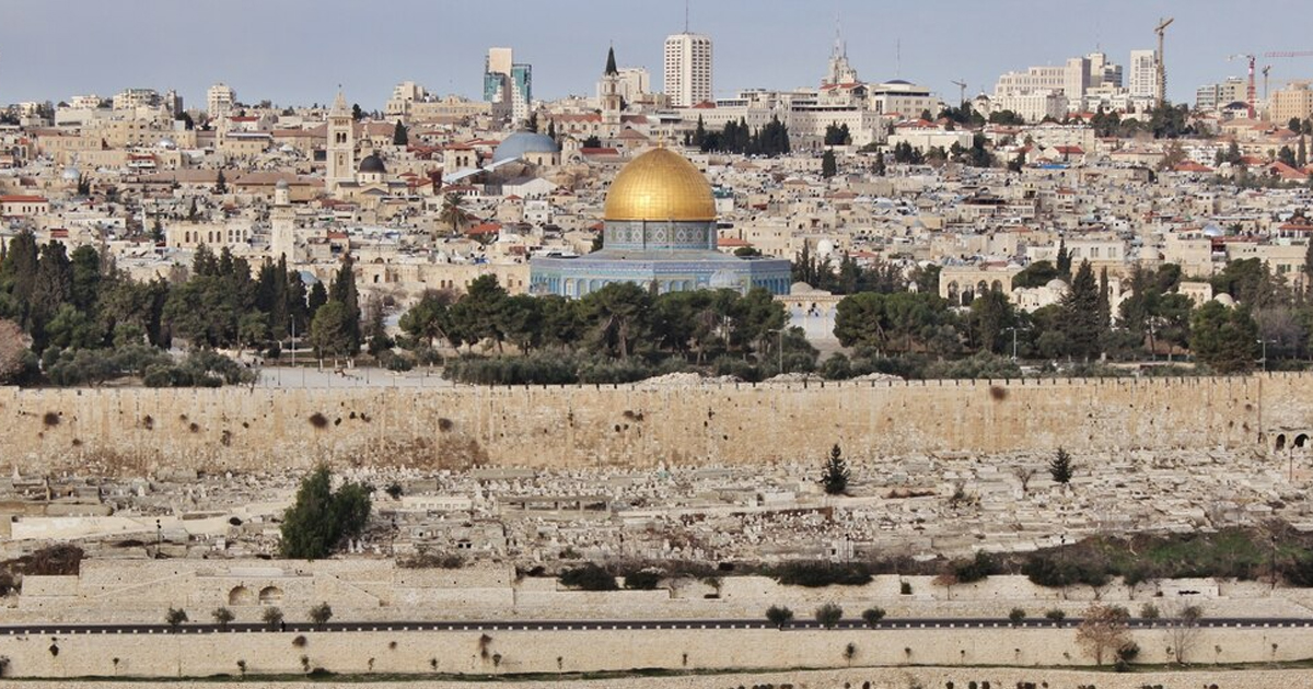 مشاهير عرب وعالميون يعلنون تضامنهم مع فلسطين وآخرون يخسرون متابعيهم بسبب مواقفهم