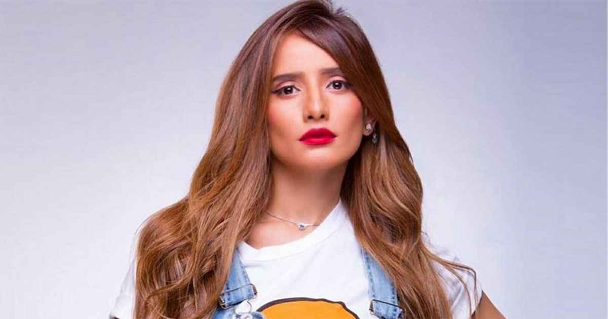 زينة تكشف عن توأمها خلال مشاركتها في حملة مساعدات لأهل غزة